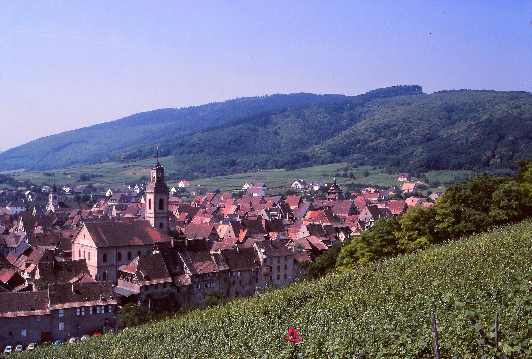 Riquewihr, panoramic view of the city surrounded by its vineyards.