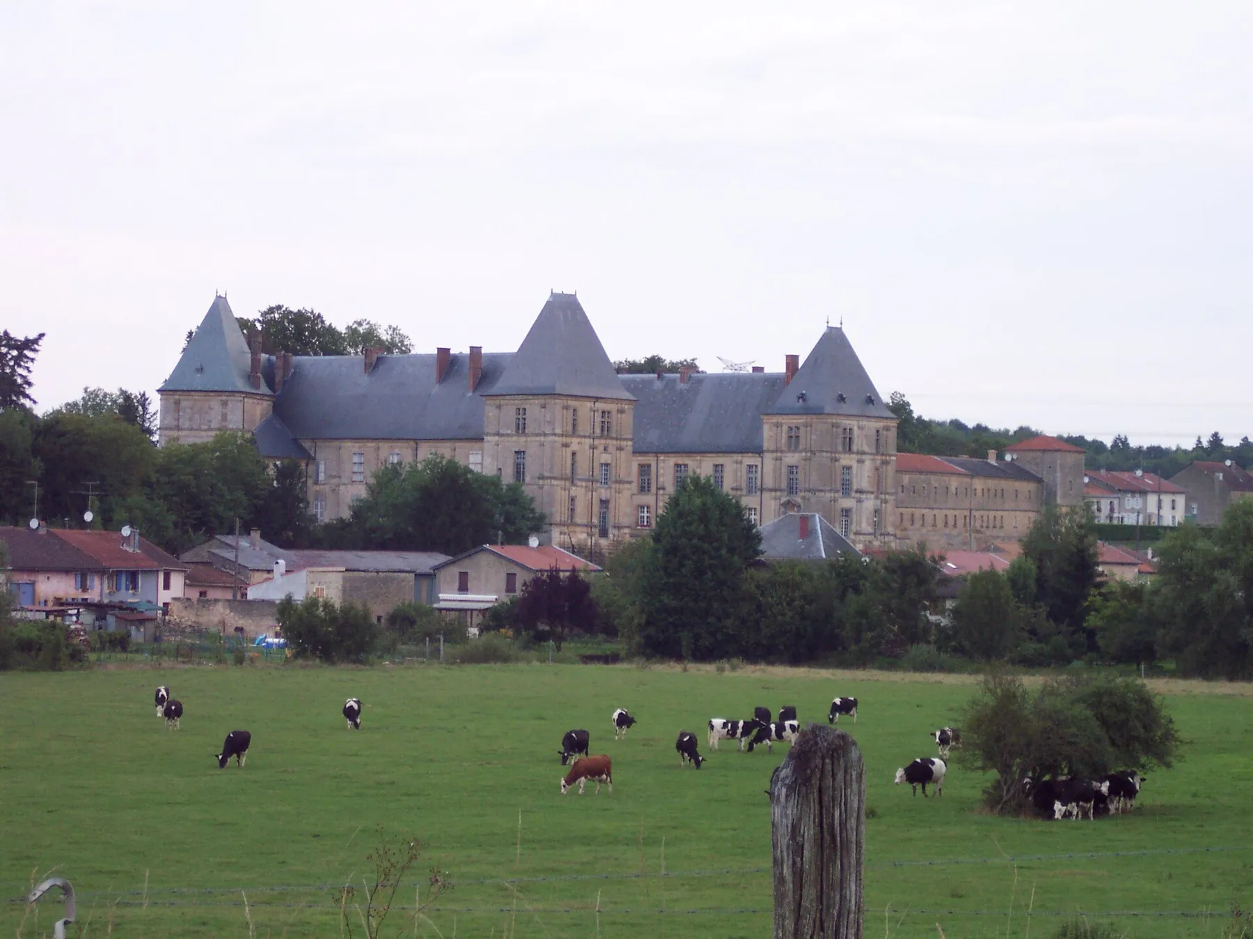 vue sur le château et le village de Louppy sur Loison