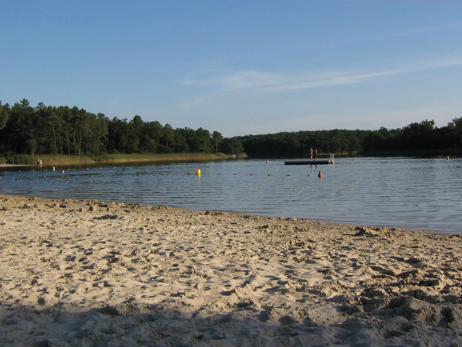 Etang de la Jemaye (forêt de la Double)
