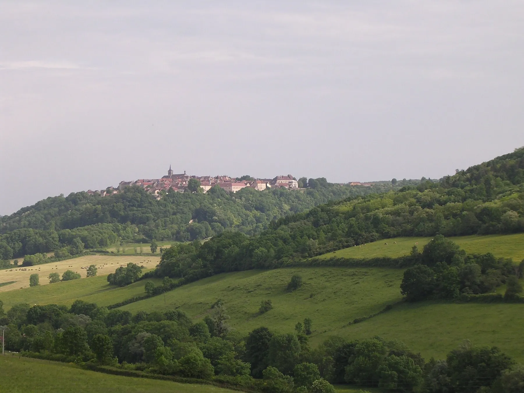 Flavigny-sur-Ozerain, Bourgogne, France. View from N-W.