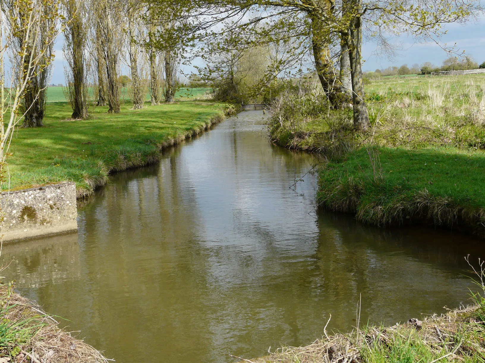Le ruisseau Le Beusse sur la commune de Mésanger (44)