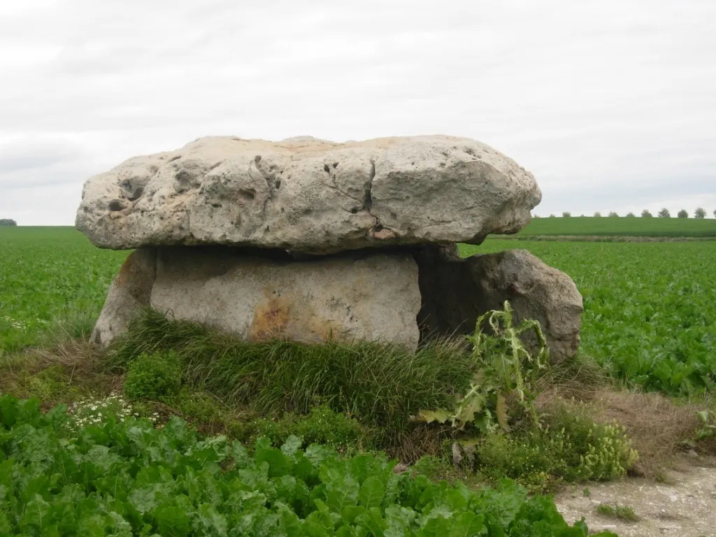 Marcilly-le-Hayer Dolmen du Vamprin