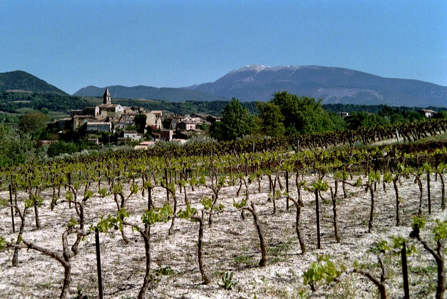 Image de Mirabel avec une vue sur le Mont Ventoux