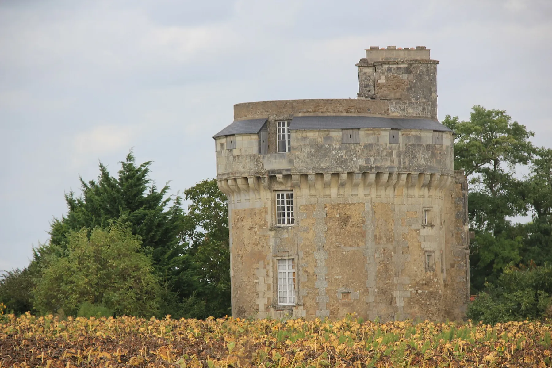 La tour du Château d'Abain (Thurageau (Inscrit)