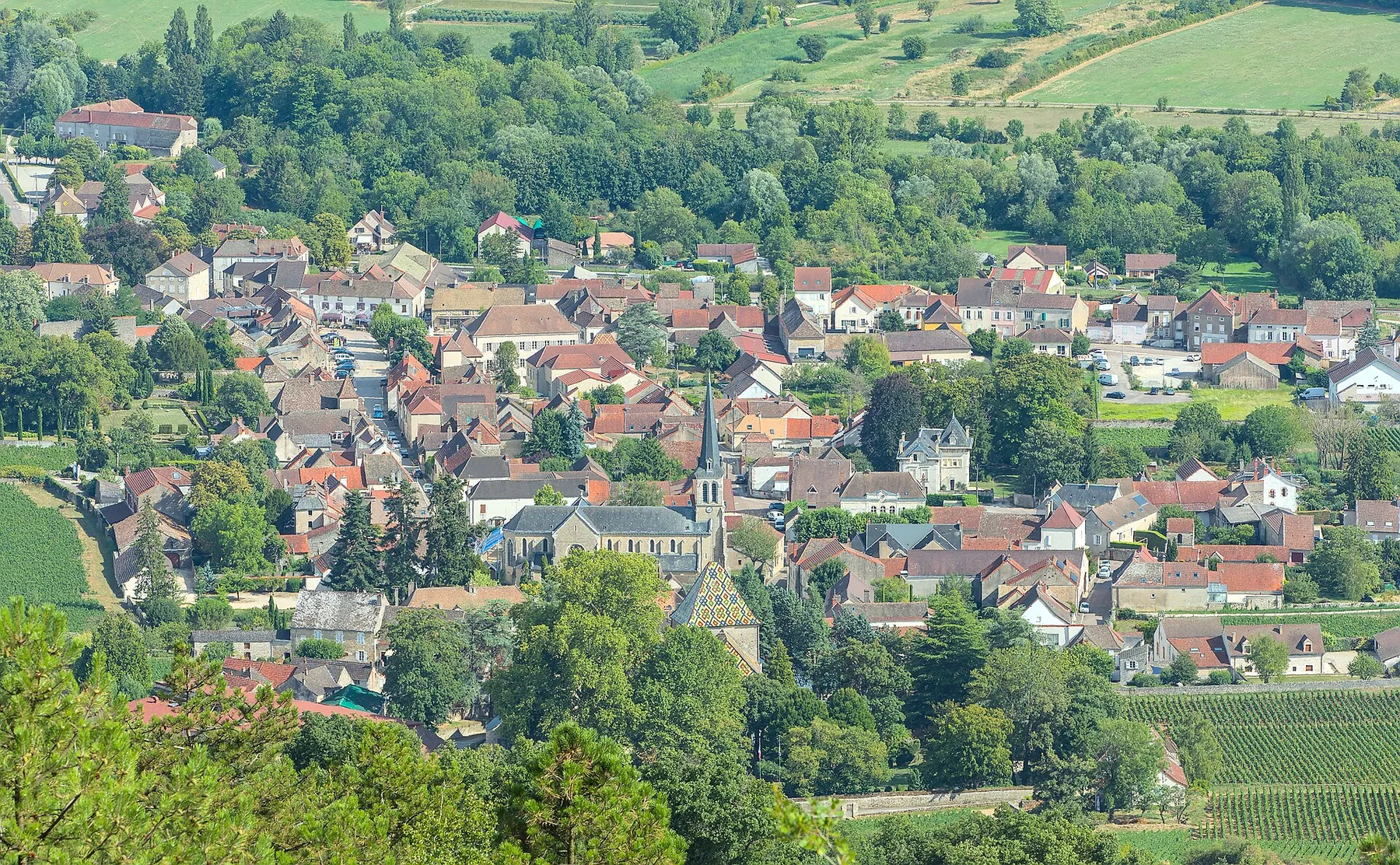 Santenay (Côte-d'Or, France) - View from the Sène hill : the village of Santenay